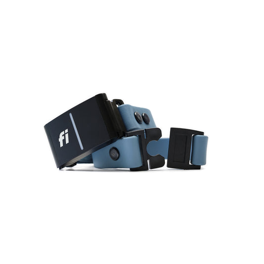 HOME • alone Fi GPS compatible (In-Line)