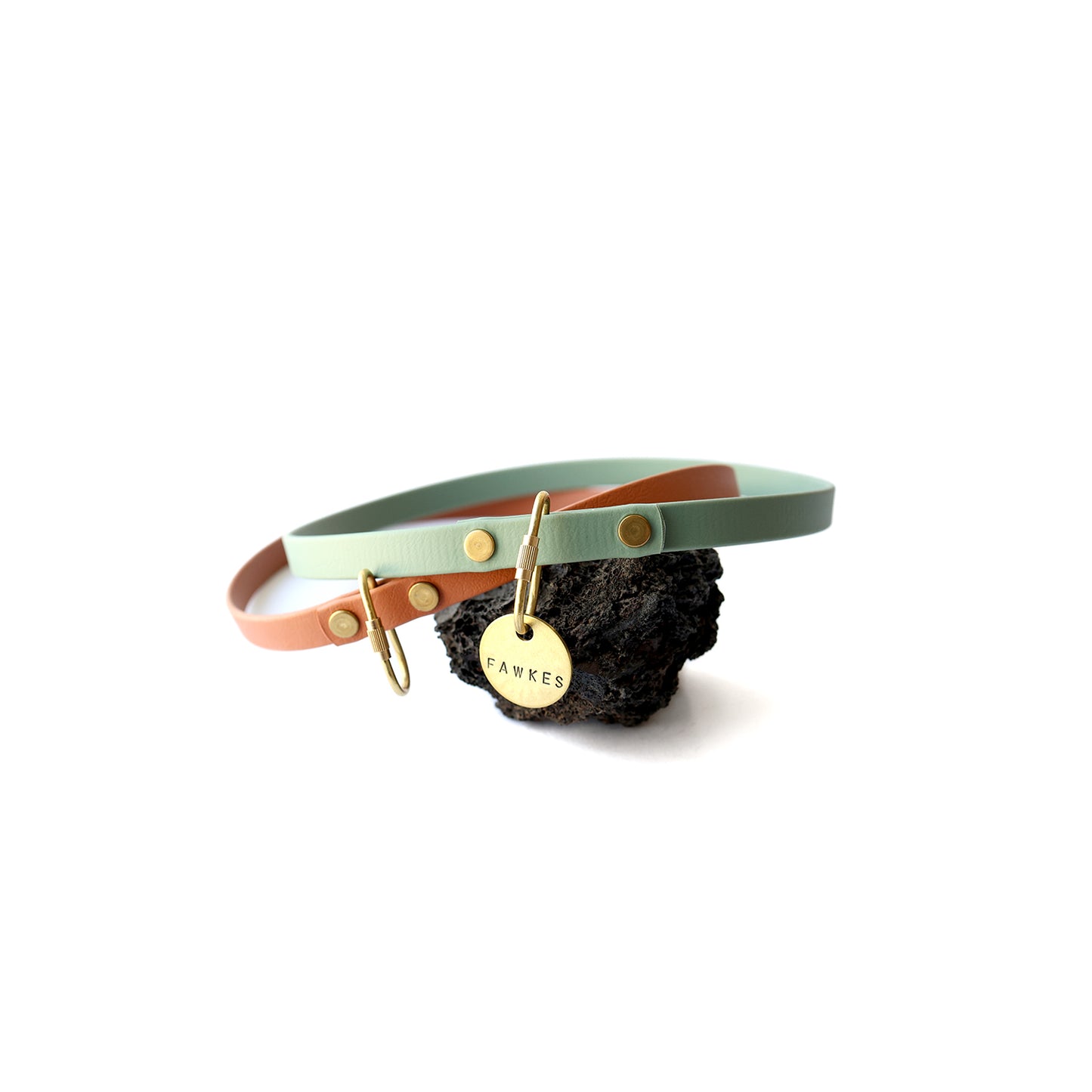 Paradise • house collar