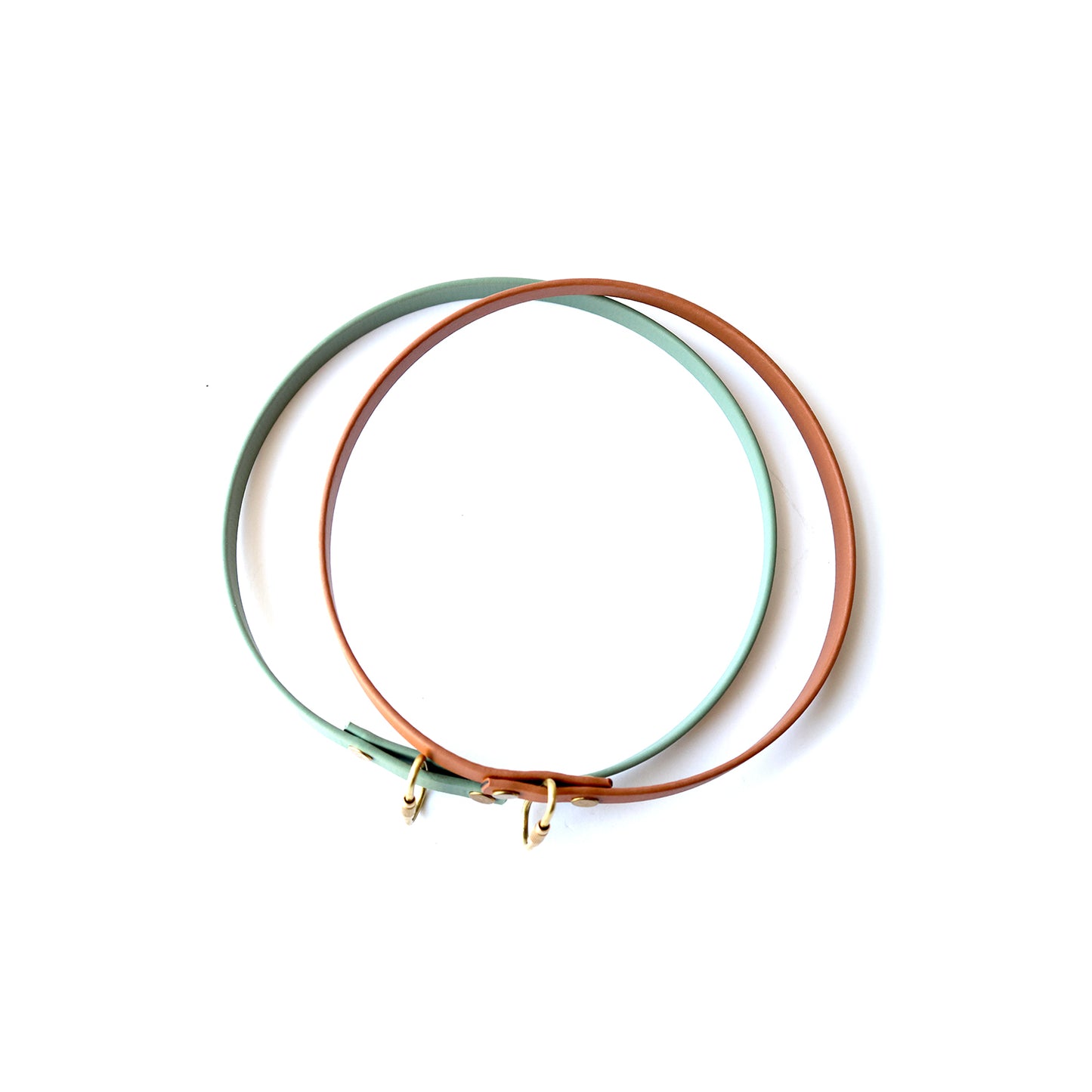 Paradise • house collar