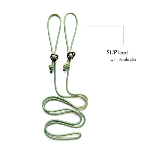SLIP • training lead