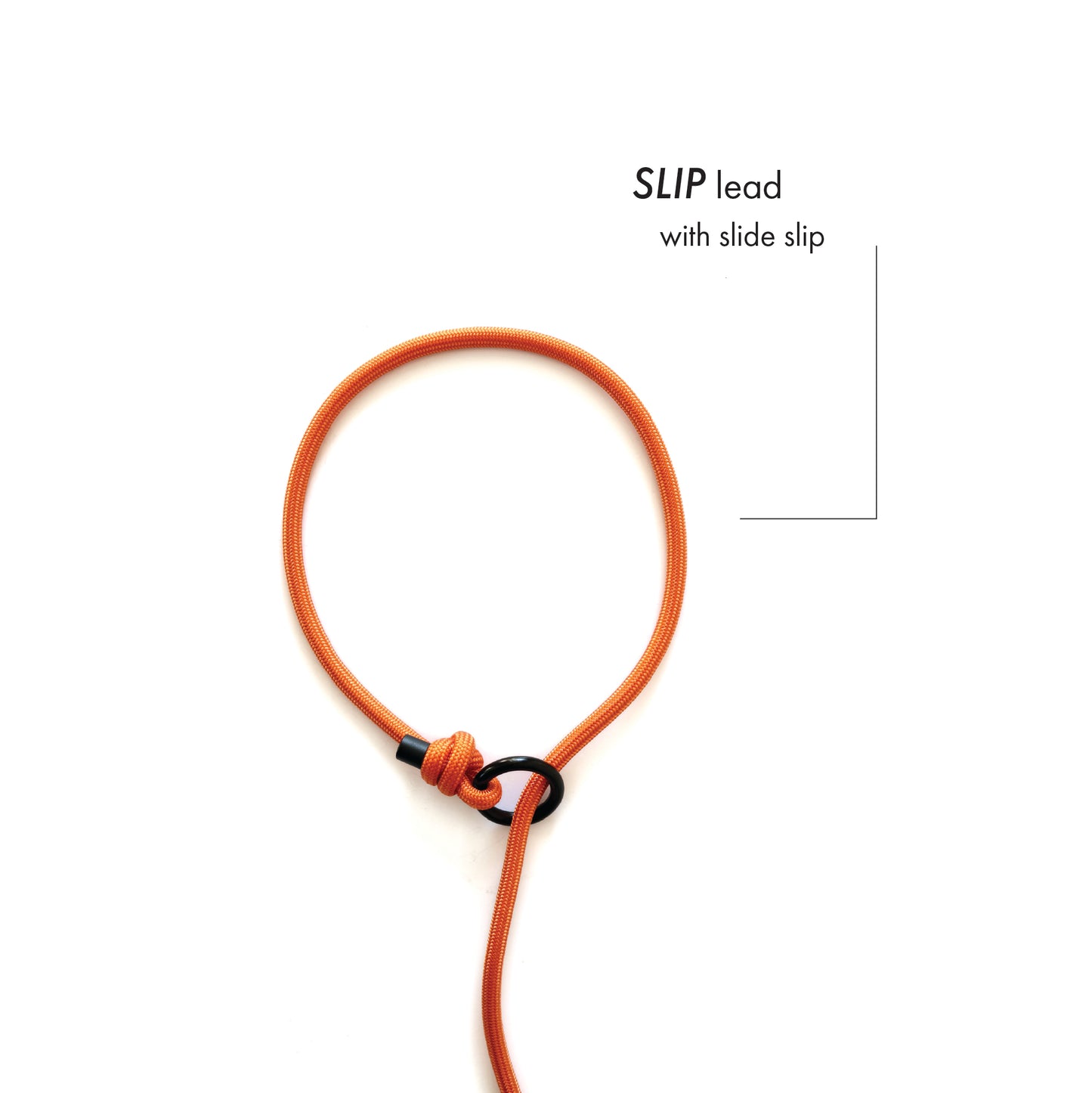 SLIP • training lead