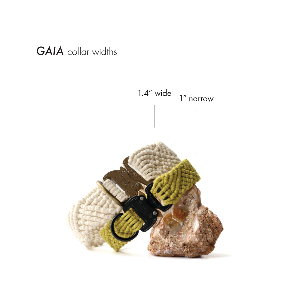 GAIA · North
