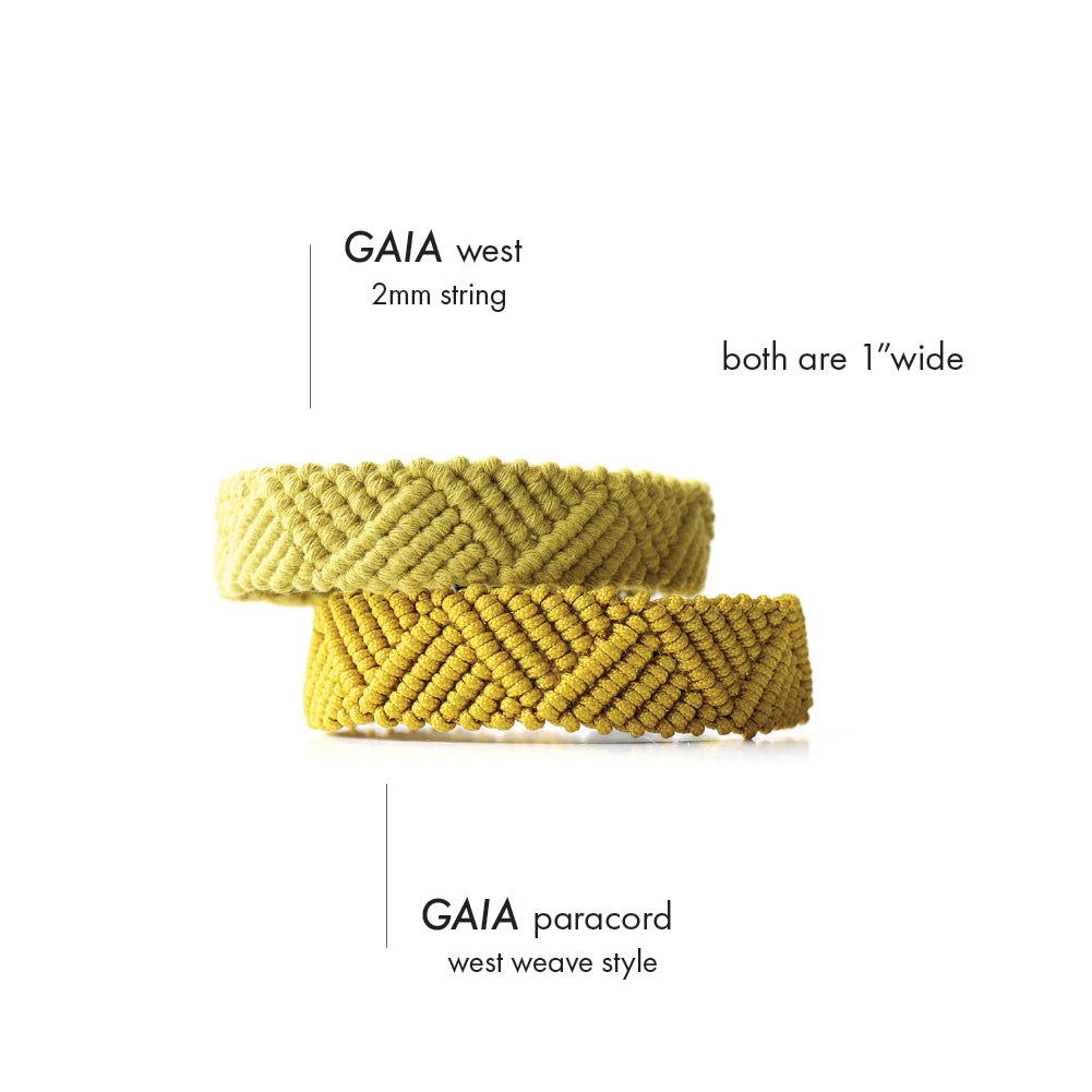 GAIA · North