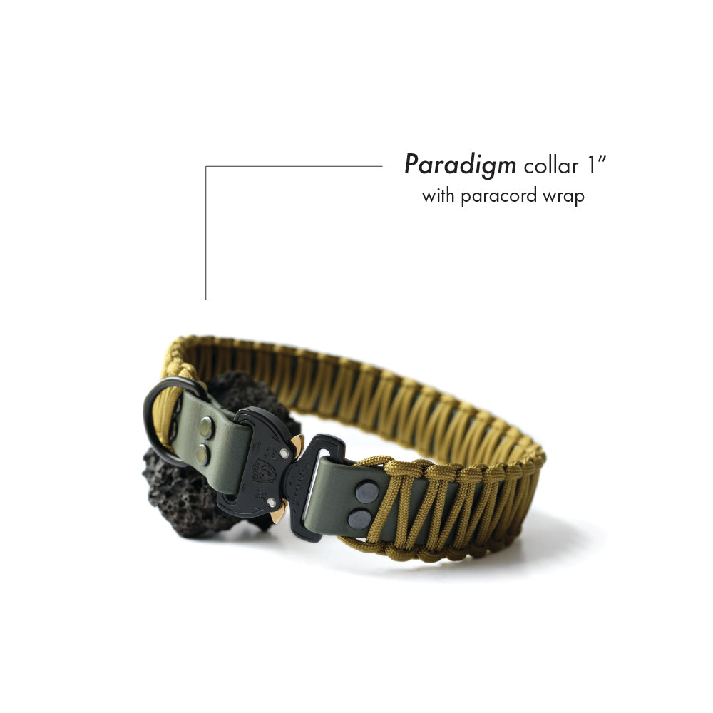 Paradigm • flat collar