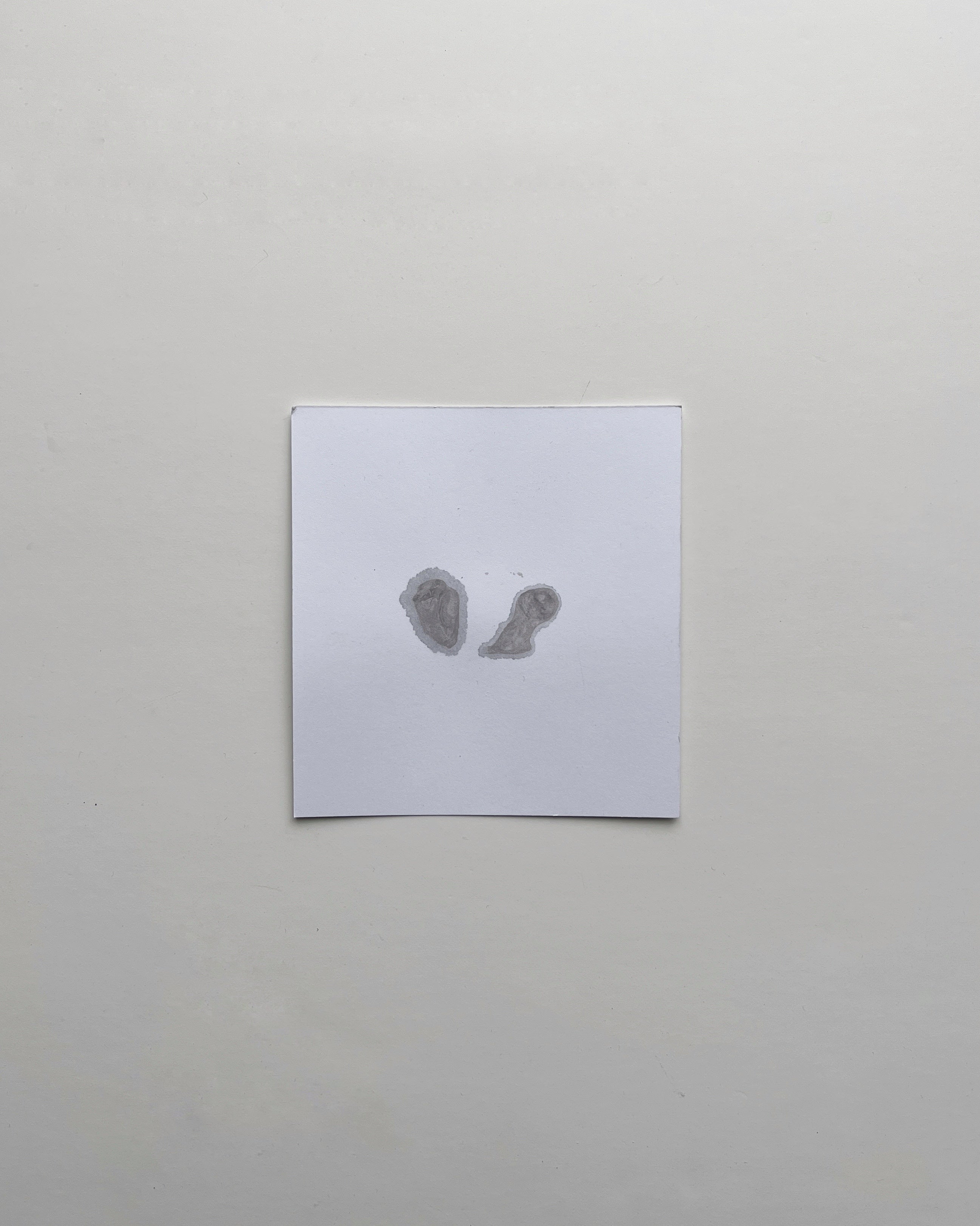 Ice Floe N.1 - N.6