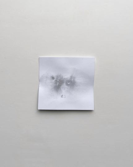 Ice Floe N.1 - N.6