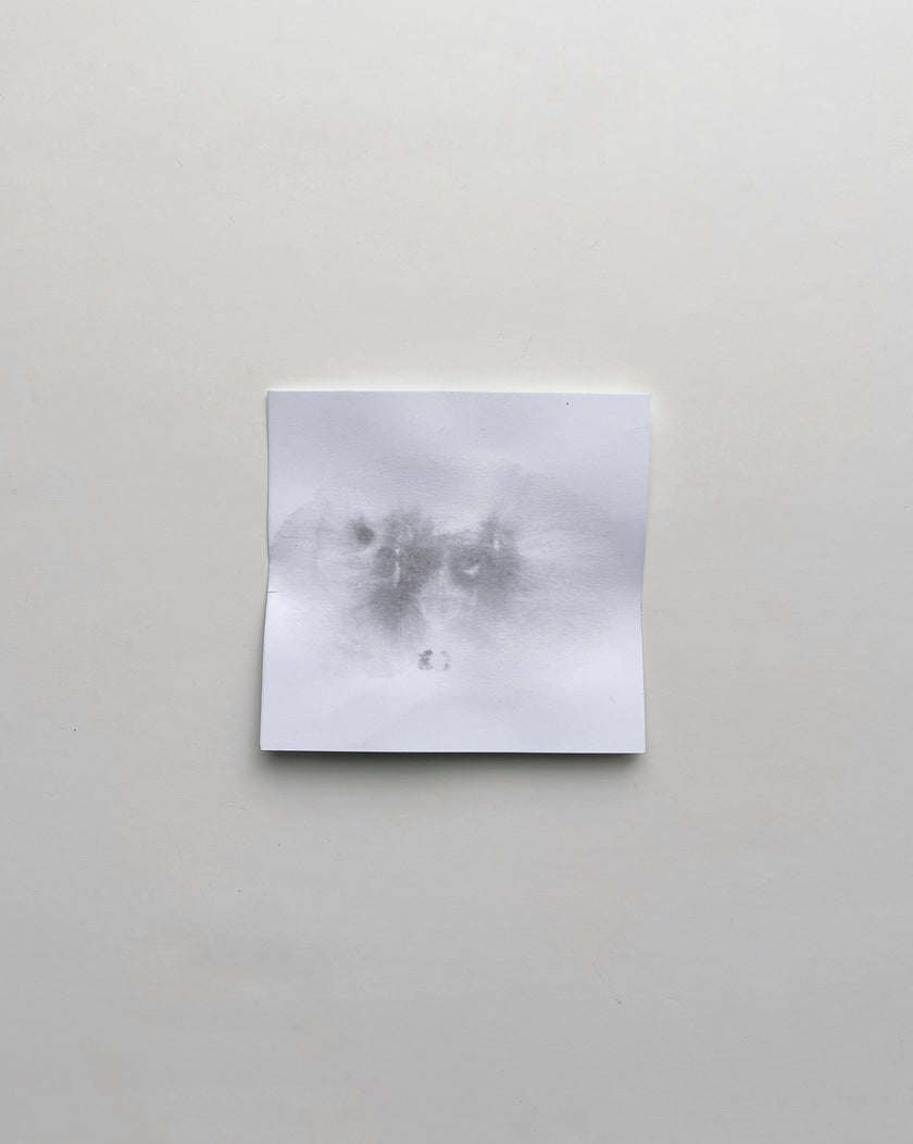 Ice Floe N.1 - N.6