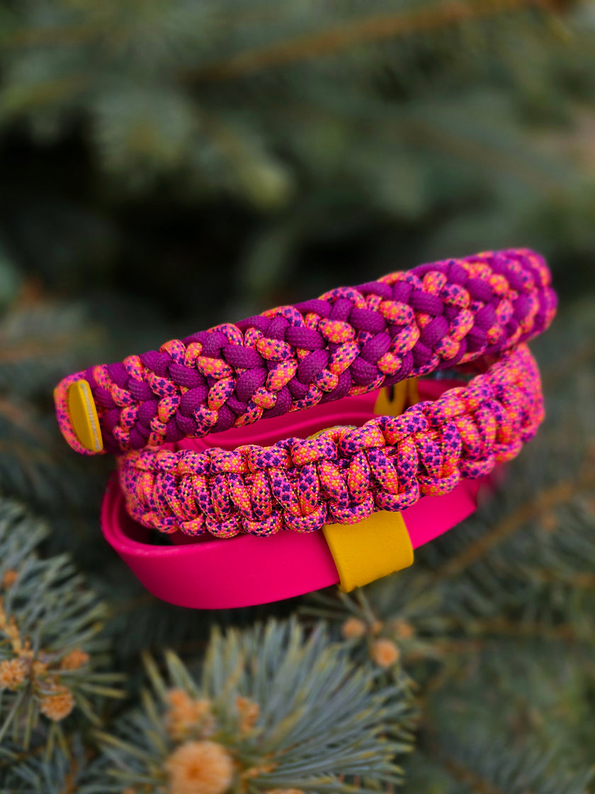 FLUX · martingale leash