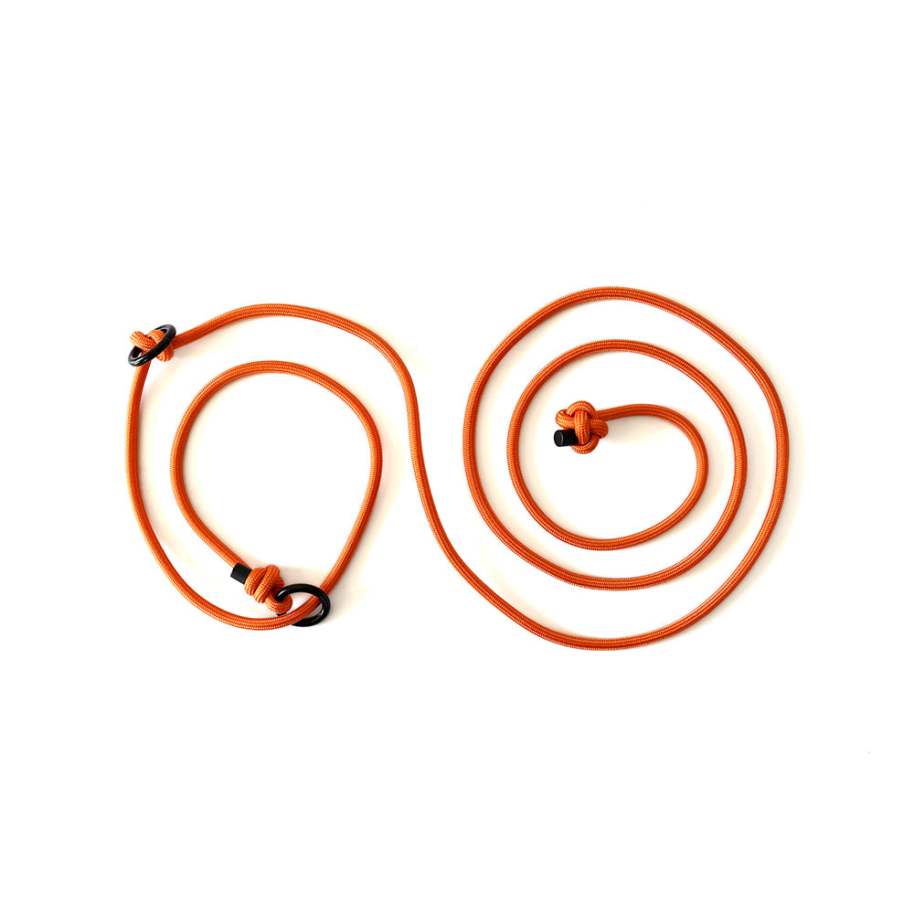 SLIP · training lead