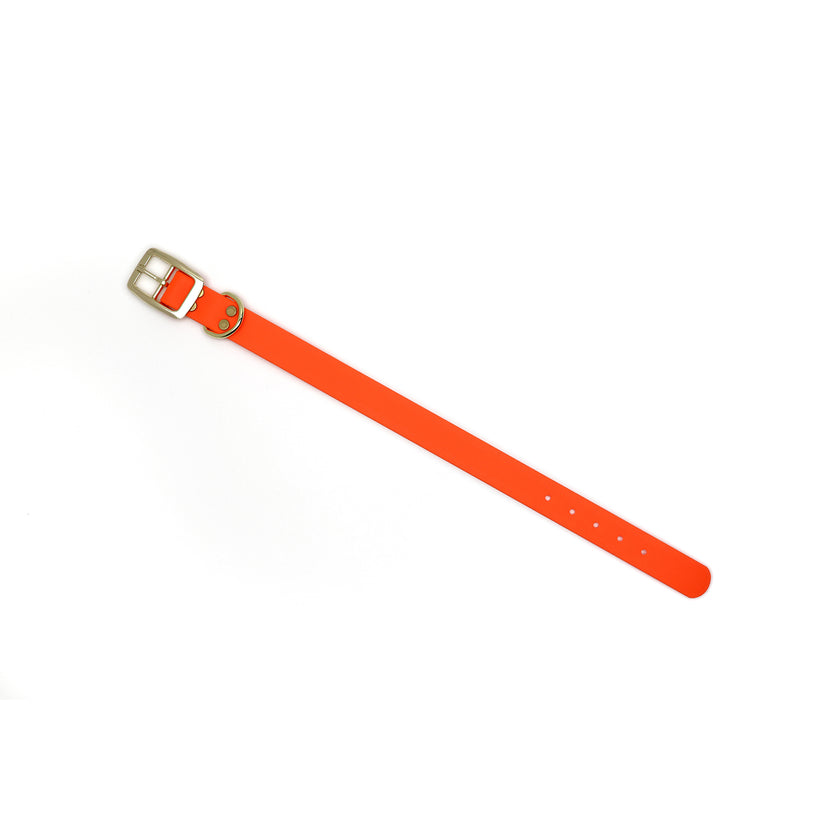 Paraph · adjustable collar