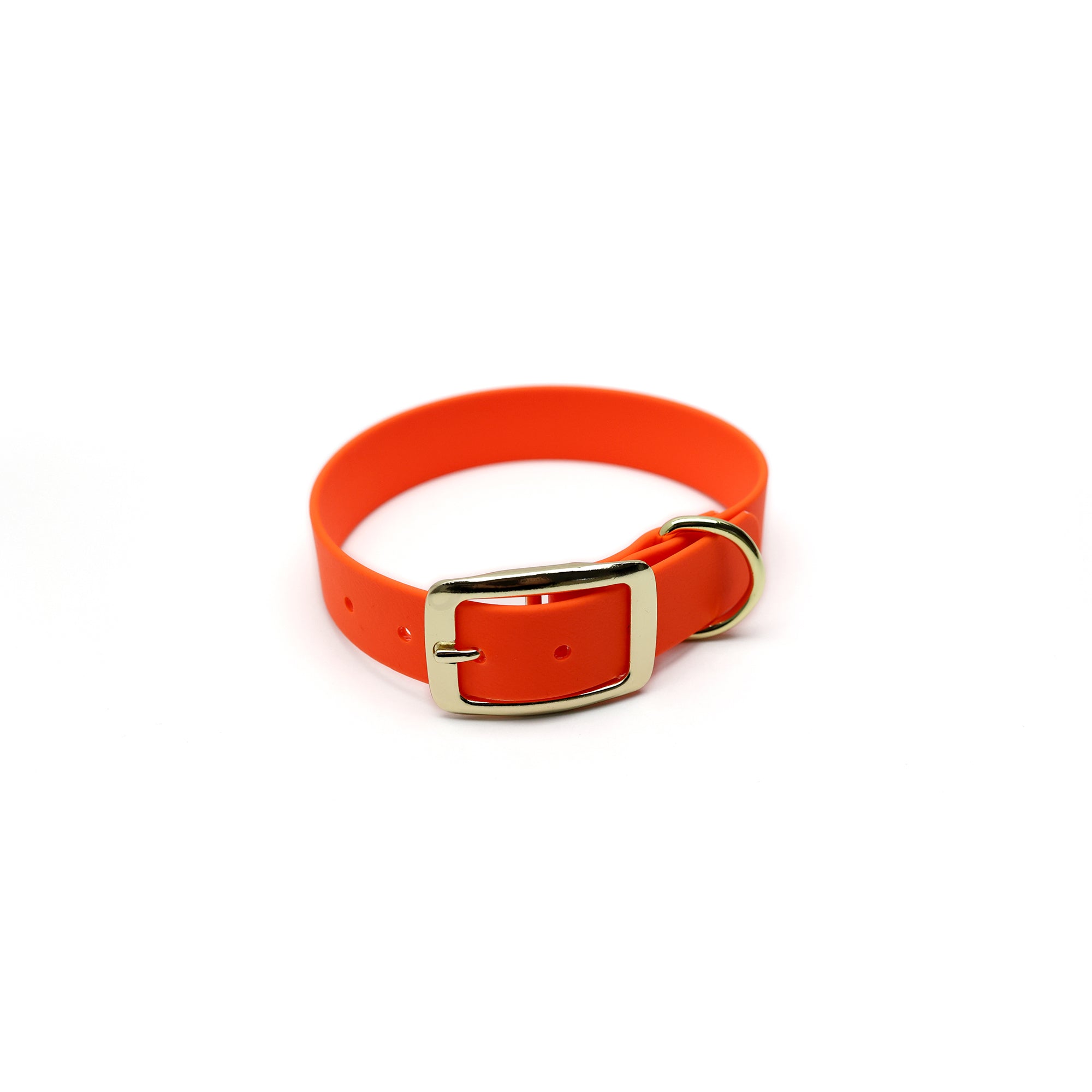 Paraph · adjustable collar