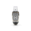 Paraph · adjustable collar