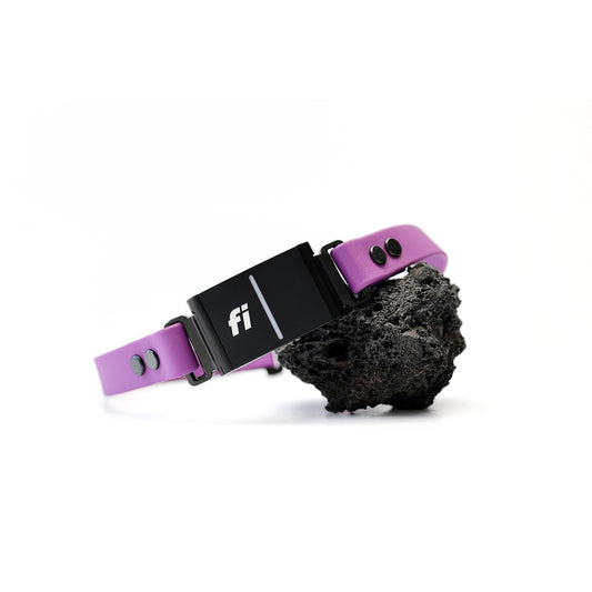 Paradigm • Fi GPS Compatible (In-Line)