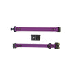 Sample Sale - Paradigm Fi GPS Compatible (In-Line)