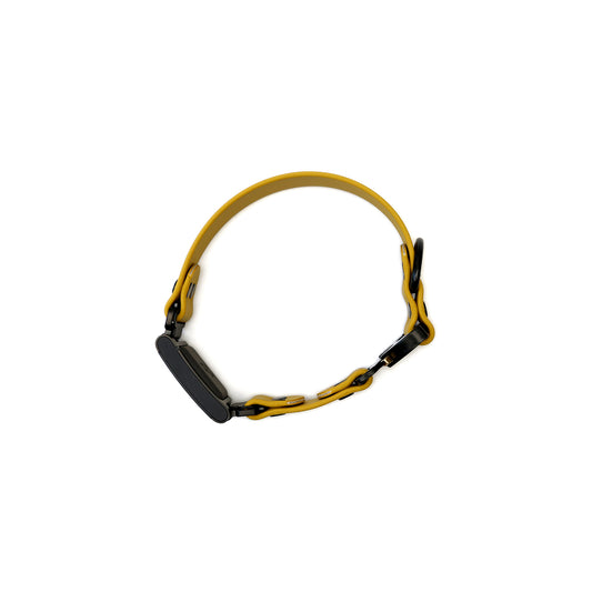 Sample Sale - Paradigm Fi GPS Compatible (In-Line)