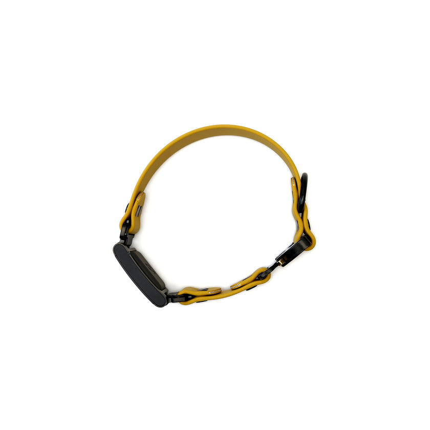Sample Sale - Paradigm Fi GPS Compatible (In-Line)