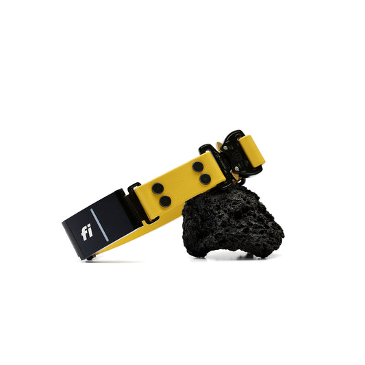 Paradigm • Fi GPS Compatible (In-Line)