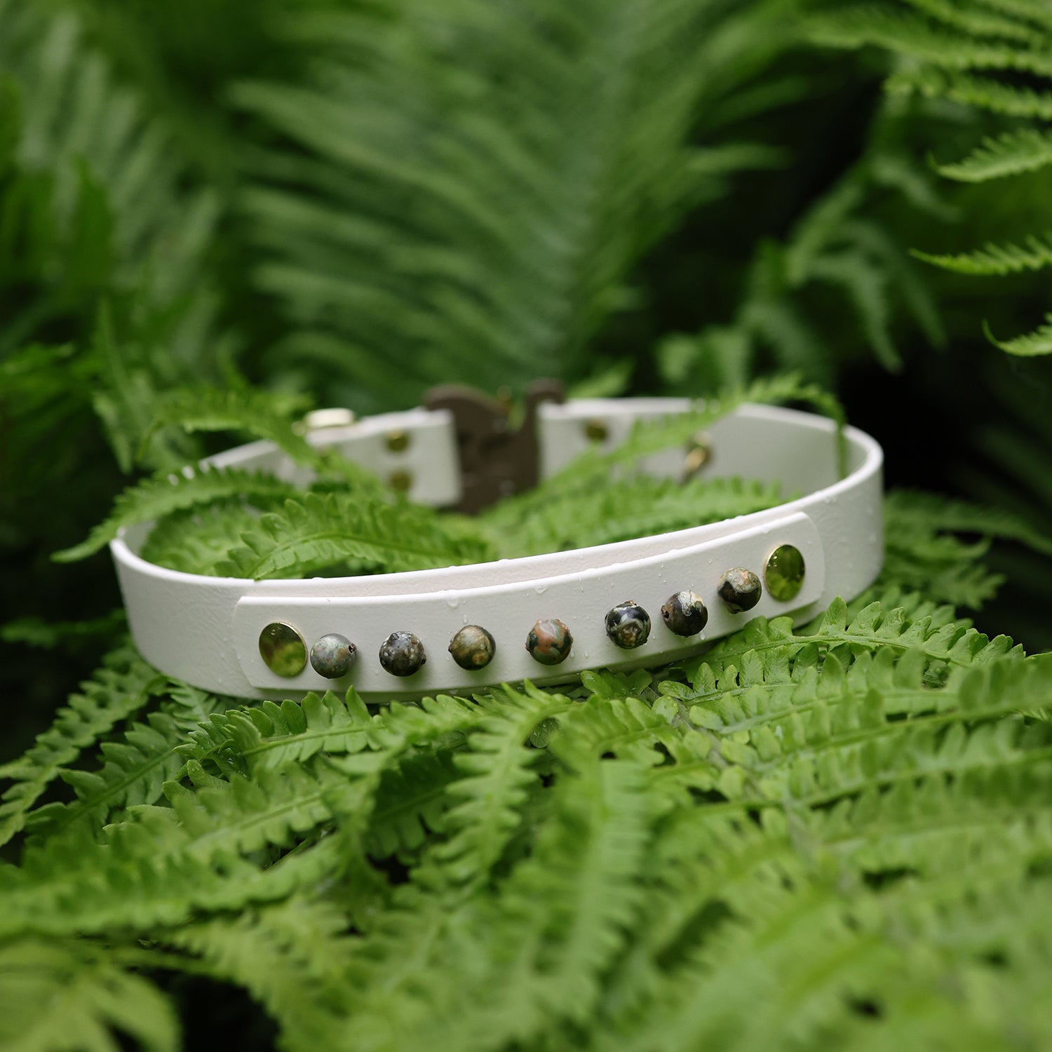 AURA • collar add-on