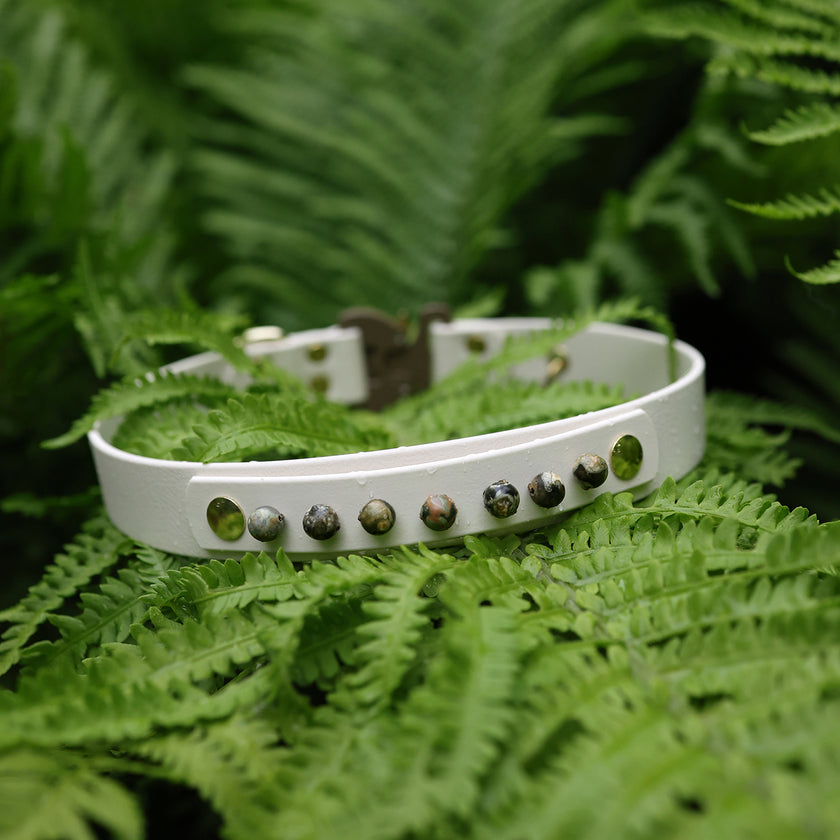 AURA • collar add-on