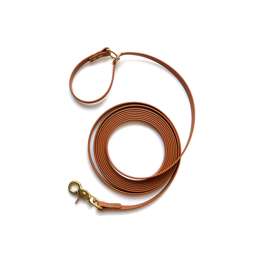 Paragon · leash