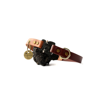 Sample Sale - Paradigm Collar