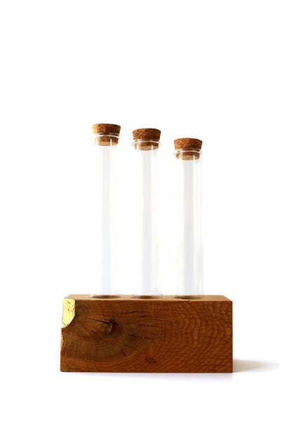 GROW • propagation station / bud vase