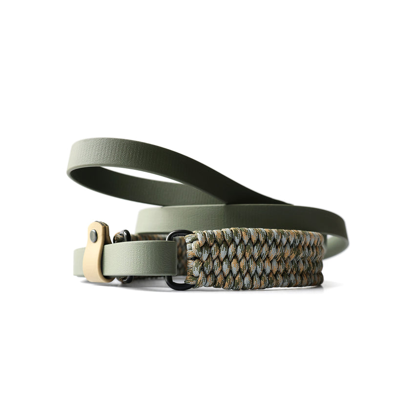 FLUX · martingale leash