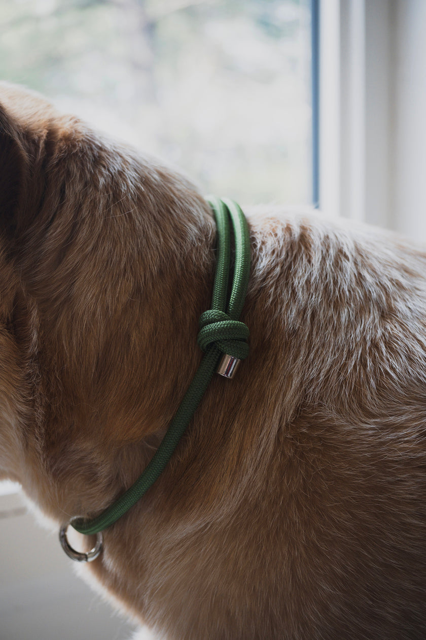 HOME · slip-on collar