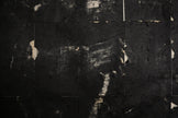 The Karamazovs - various works