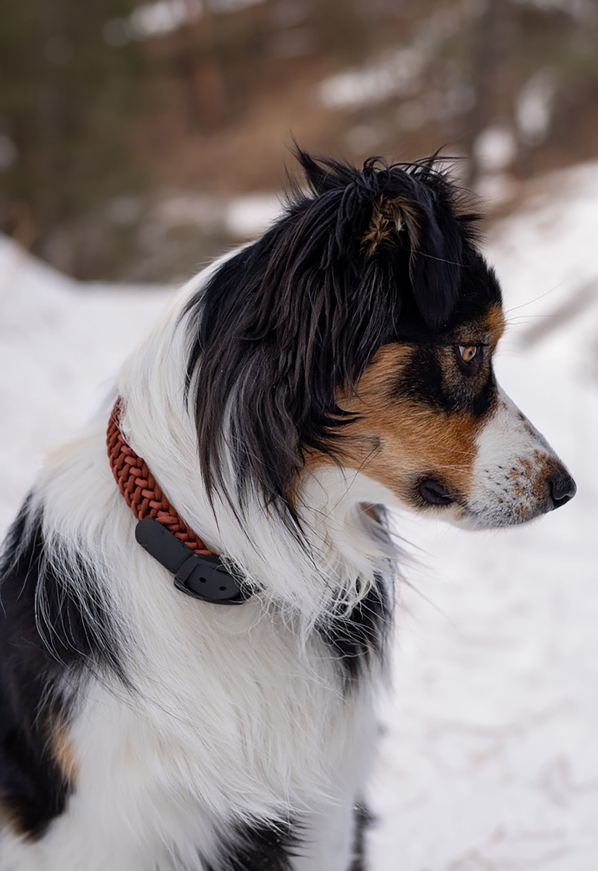 FLEX · adjustable length collars