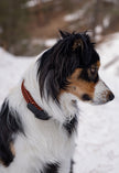 FLEX · adjustable length collars