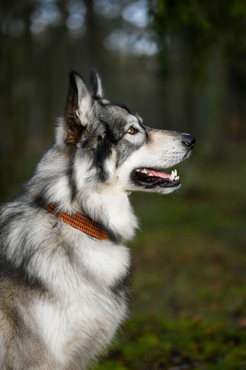 FLEX · adjustable length collars