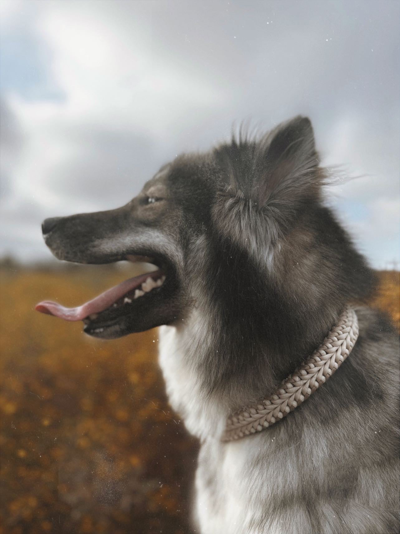 FIXI · fixed length collars