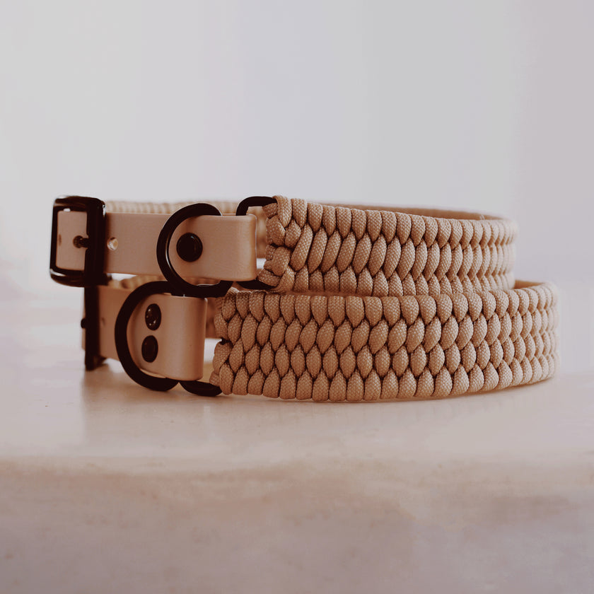 FLEX · monochromatic