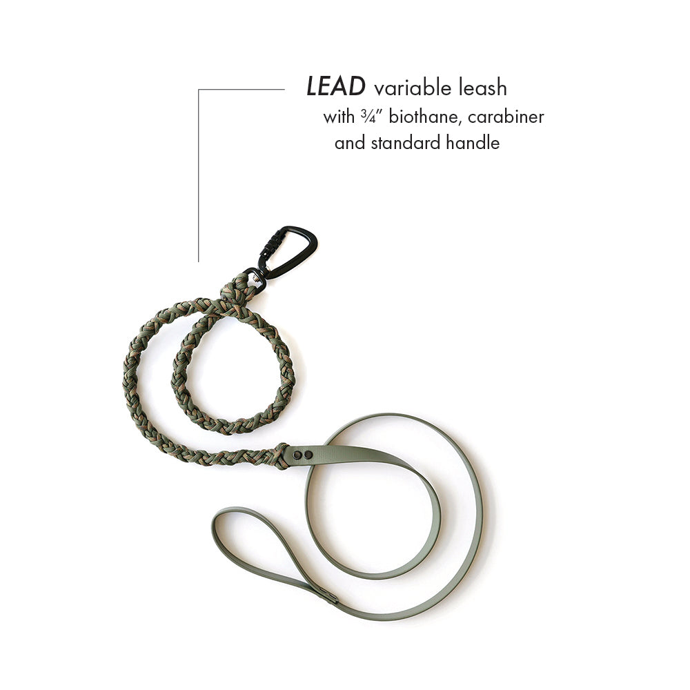 LEAD • variable leash