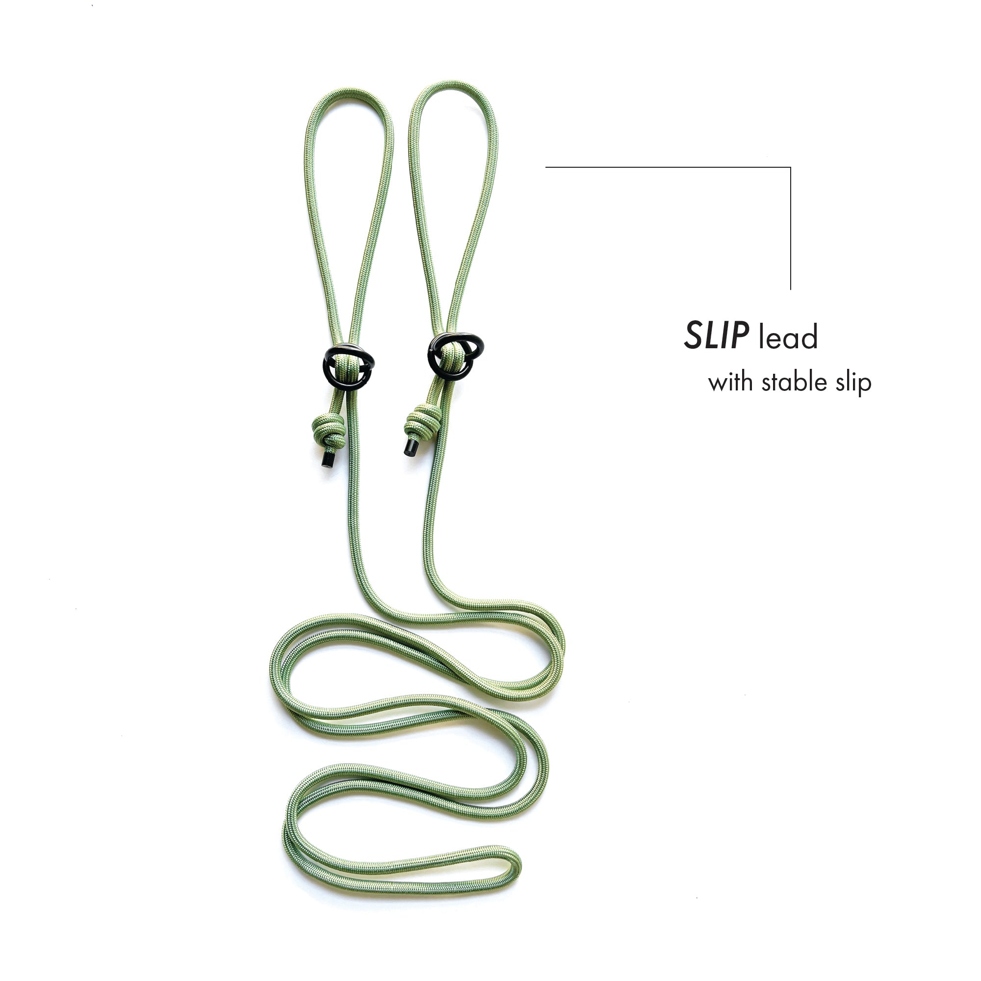 SLIP · training lead