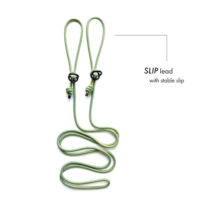 SLIP • training lead
