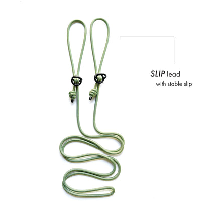 SLIP · training lead