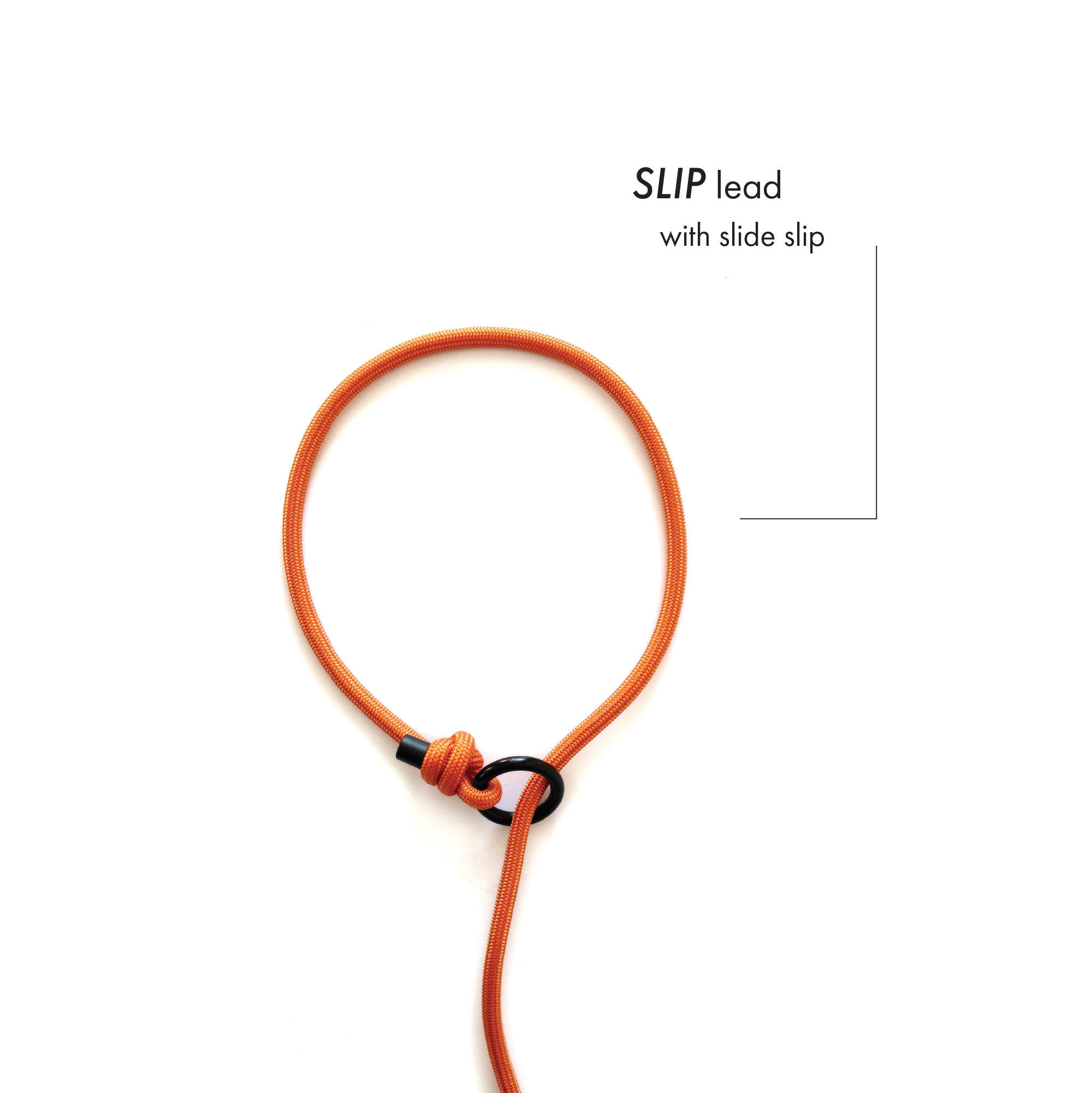 SLIP · training lead