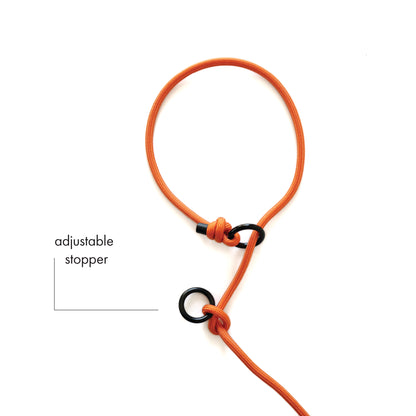 SLIP • training lead