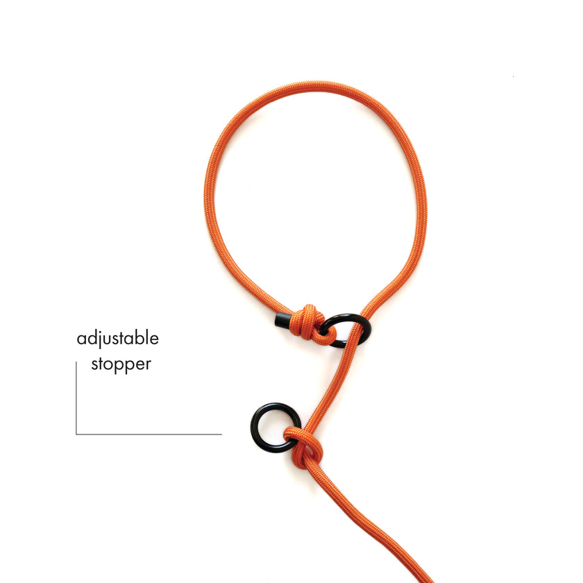 SLIP · training lead