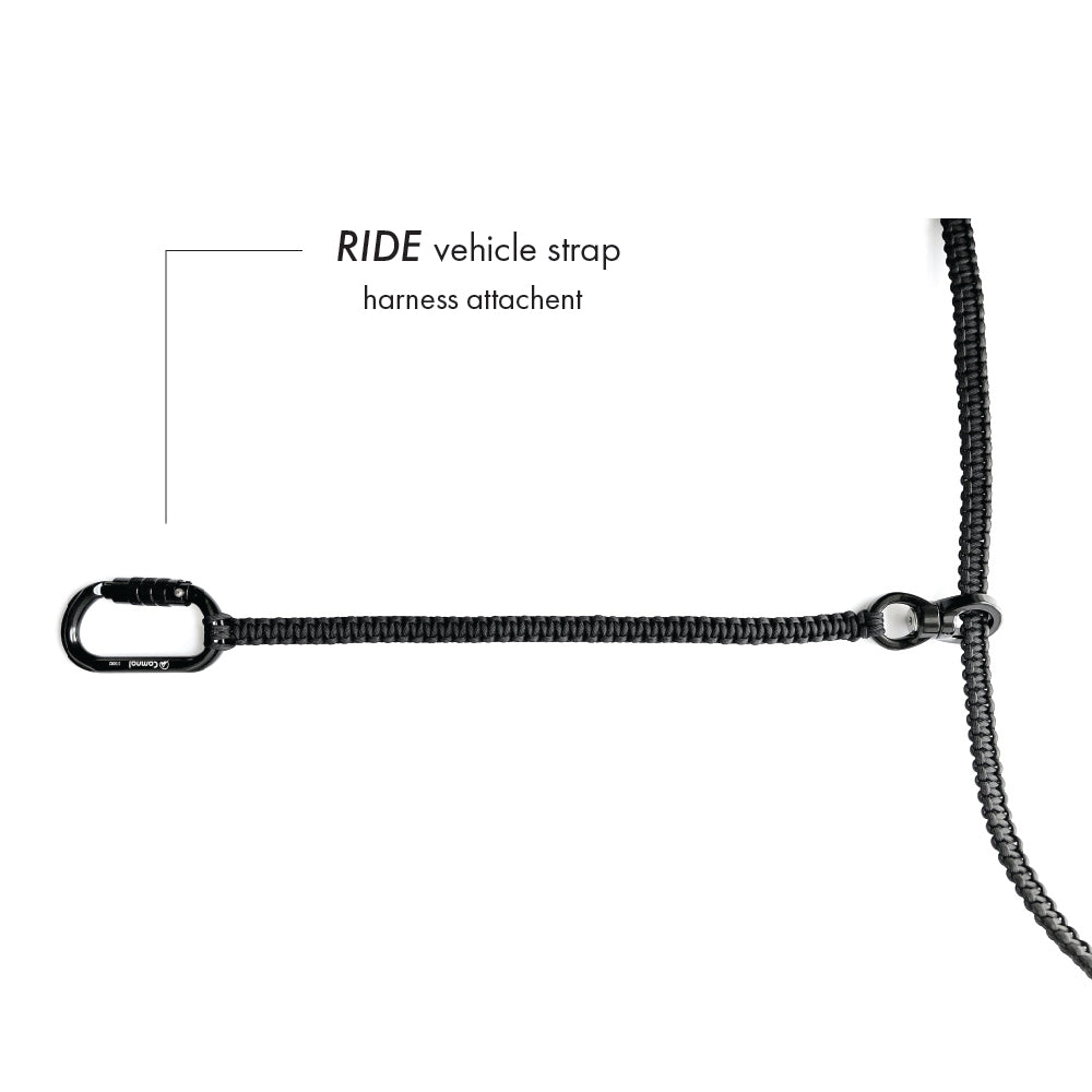 RIDE • vehicle strap