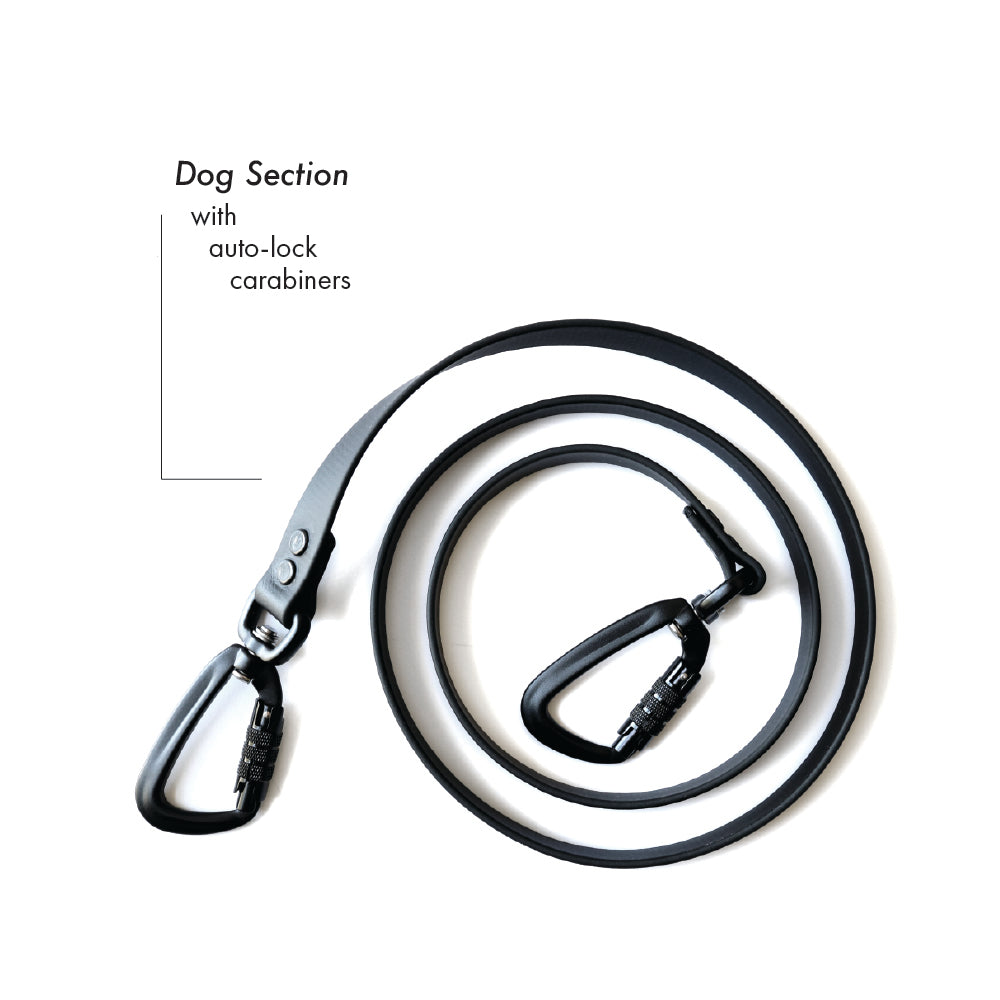 Parade • multi-dog sectional leash