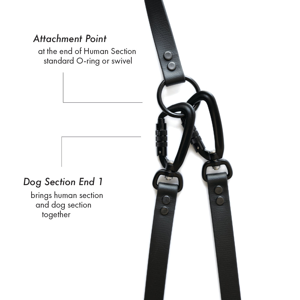 Parade • multi-dog sectional leash