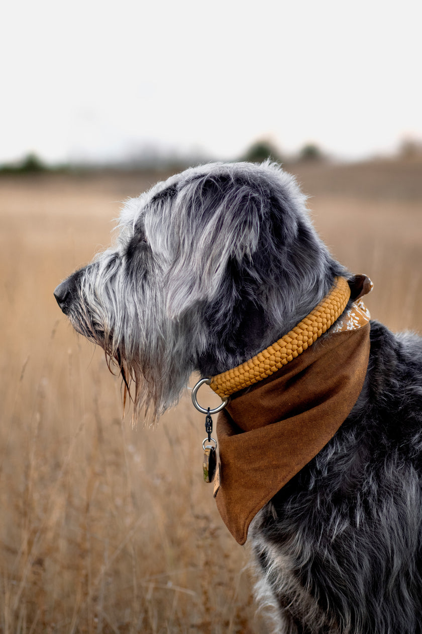 FIXI · fixed length collars