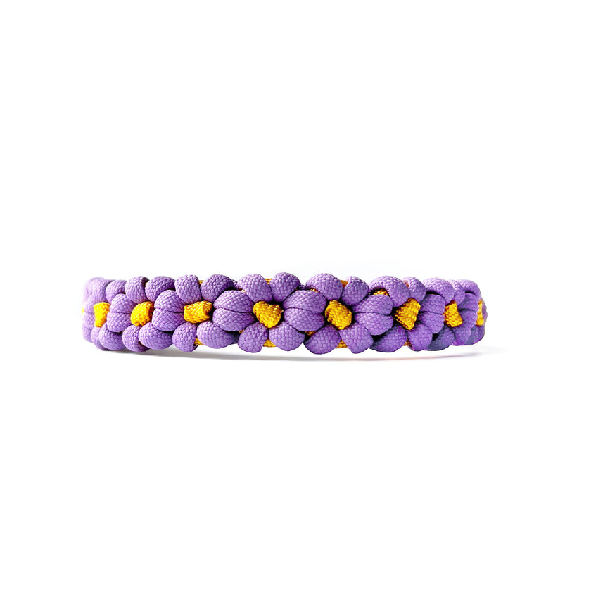 MINI · custom collar