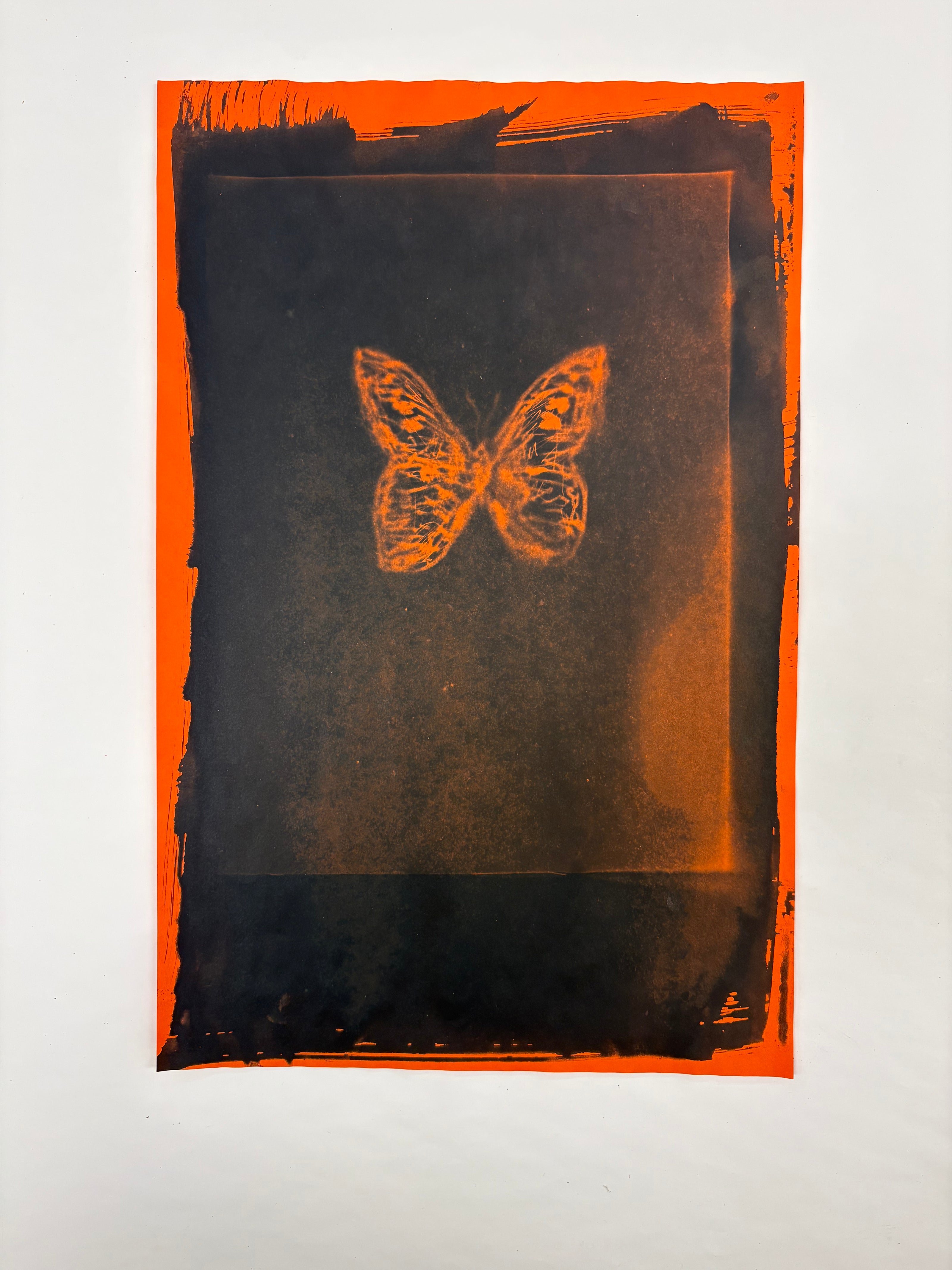 Cyanotypes - various works