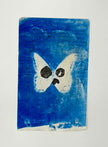 Cyanotypes - various works