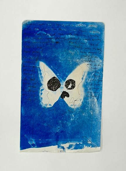Cyanotypes - various works