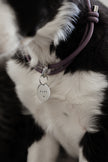 HOME · slip-on collar